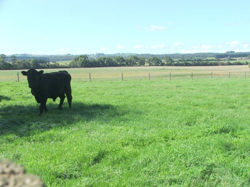 290 Soldiers Road, Leongatha VIC 3953