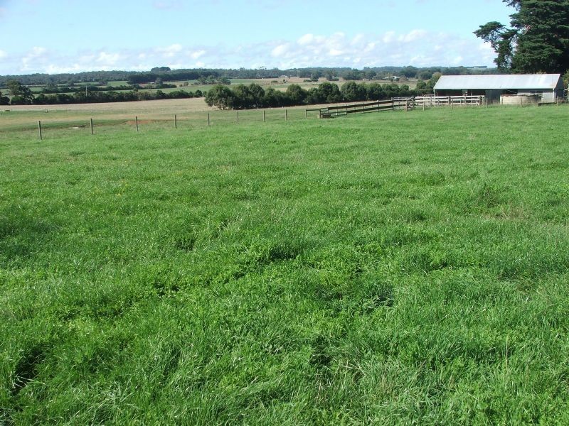 290 Soldiers Road, Leongatha VIC 3953