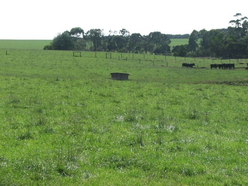 290 Soldiers Road, Leongatha VIC 3953