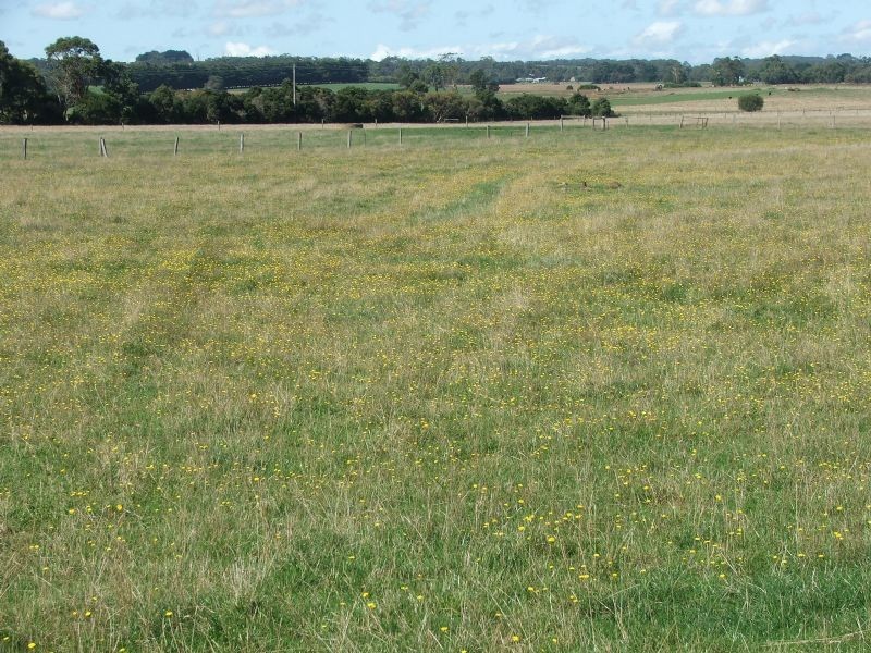 290 Soldiers Road, Leongatha VIC 3953