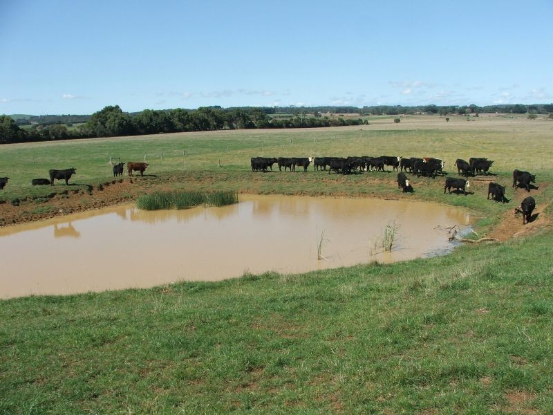 290 Soldiers Road, Leongatha VIC 3953