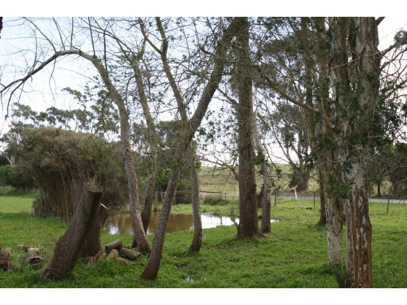 225 Old Korumburra Road, Leongatha VIC 3953