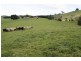 125 Farmers Road, Dumbalk, Leongatha VIC 3953