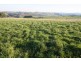 175 Boolara South Mirboo North Road, Mirboo North VIC 3871