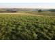 175 Boolara South Mirboo North Road, Mirboo North VIC 3871