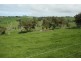 0 Kuhnes Road, Mardan VIC 3953
