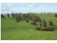 0 Kuhnes Road, Mardan VIC 3953