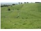 0 Kuhnes Road, Mardan VIC 3953
