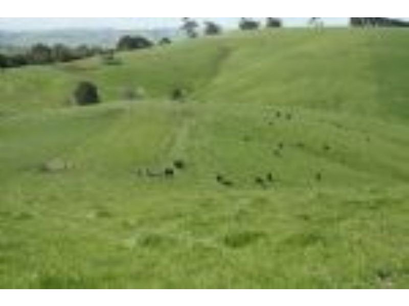 0 Kuhnes Road, Mardan VIC 3953