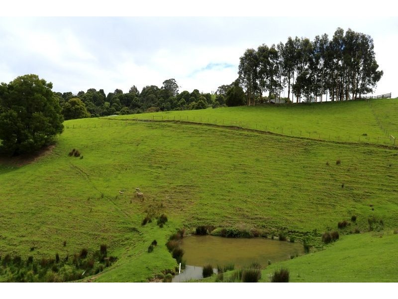 1665 Leongatha-Yarrgon Road, Hallston VIC 3953