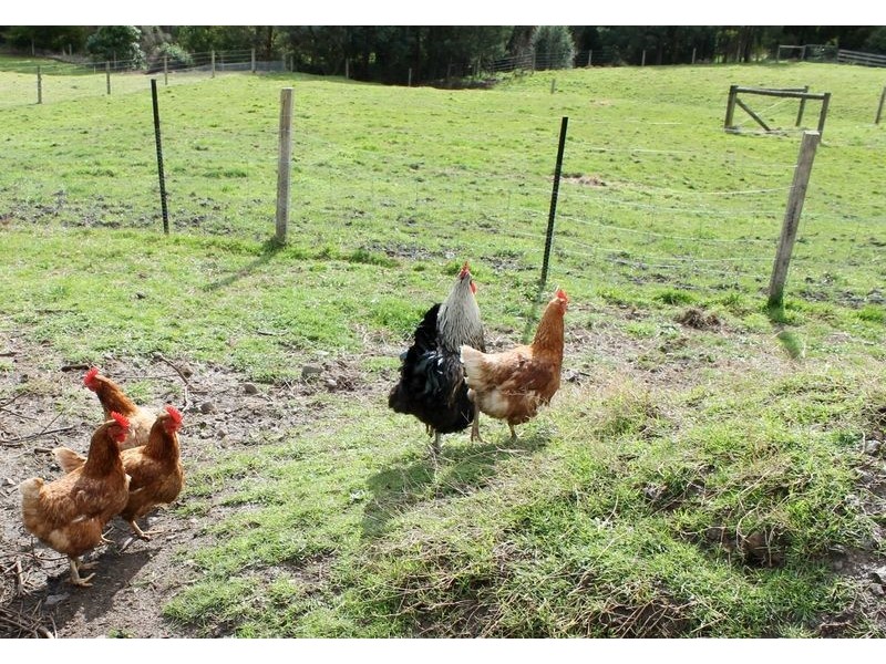 8985 South Gippsland Highway, Kardella VIC 3951