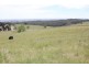 240 Egans Road, Koonwarra VIC 3954
