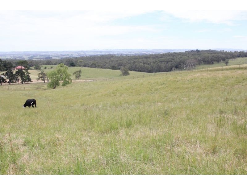 240 Egans Road, Koonwarra VIC 3954