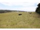 240 Egans Road, Koonwarra VIC 3954