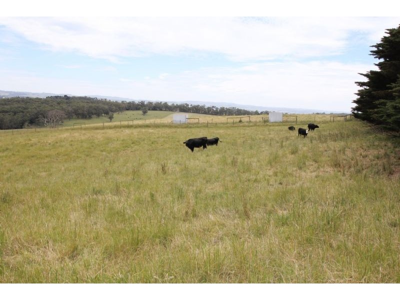 240 Egans Road, Koonwarra VIC 3954