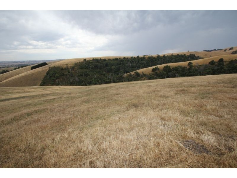 805 Stony Creek-Dollar Road, Stony Creek VIC 3957