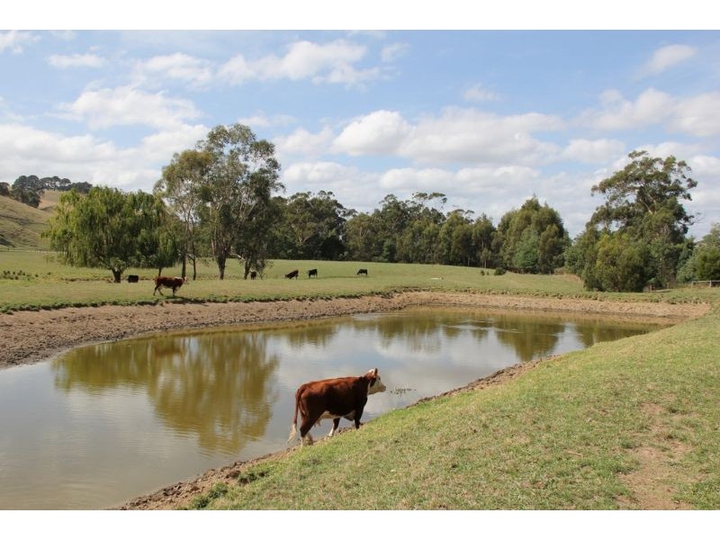 66 Goads Road, Dumbalk VIC 3956