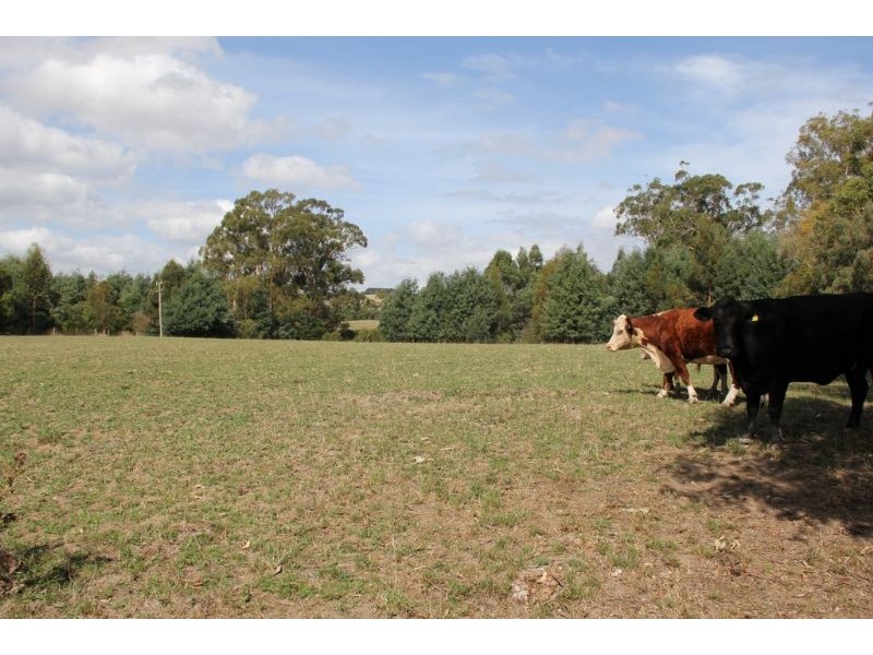 66 Goads Road, Dumbalk VIC 3956