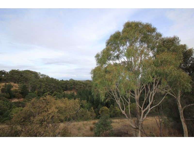 3640 South Gippsland Highway, Foster VIC 3960