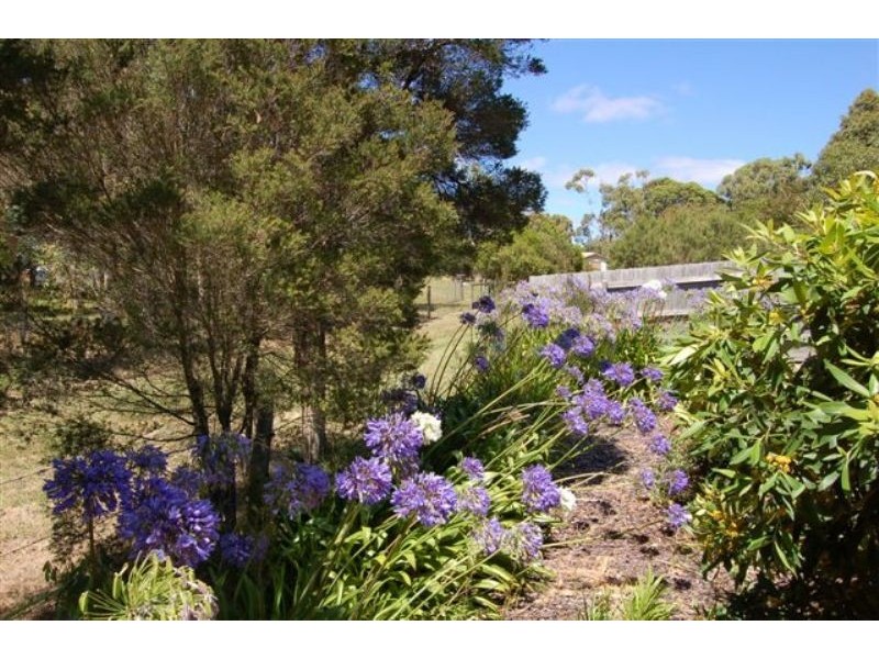 10 McPhee Street, Buffalo VIC 3958