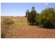 10 McPhee Street, Buffalo VIC 3958