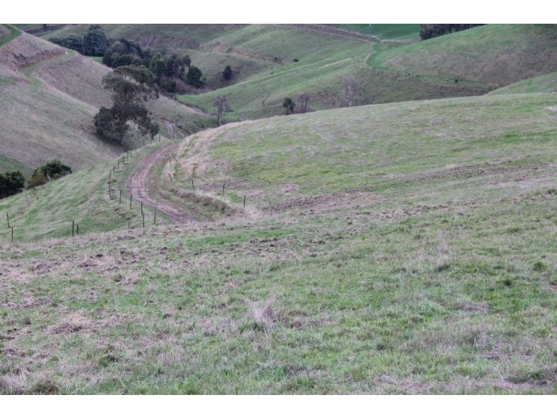 806  Stony Creek-Dollar Road, Stony Creek VIC 3957