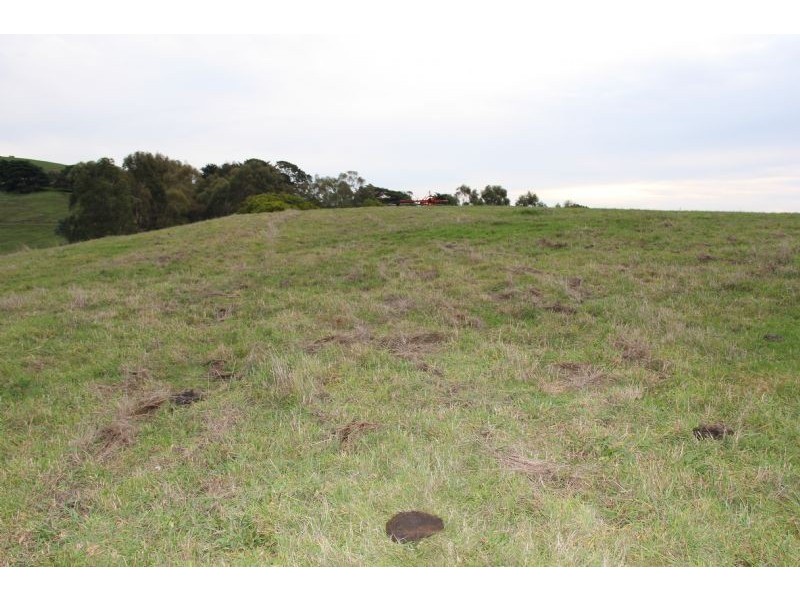 806  Stony Creek-Dollar Road, Stony Creek VIC 3957