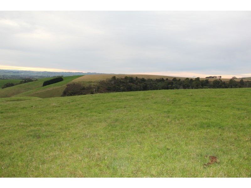 806  Stony Creek-Dollar Road, Stony Creek VIC 3957