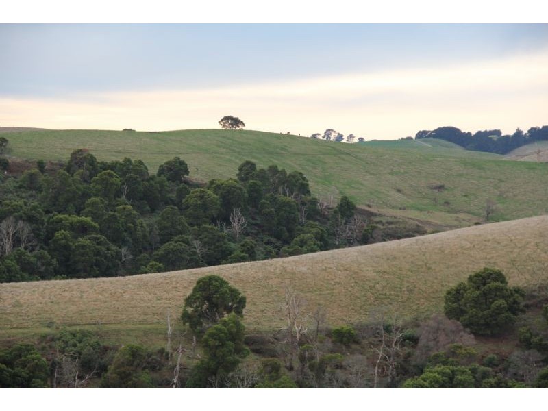 806  Stony Creek-Dollar Road, Stony Creek VIC 3957