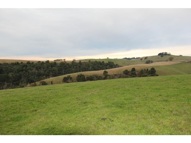 806  Stony Creek-Dollar Road, Stony Creek VIC 3957