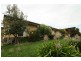 750 Dollar Road, Dumbalk VIC 3956
