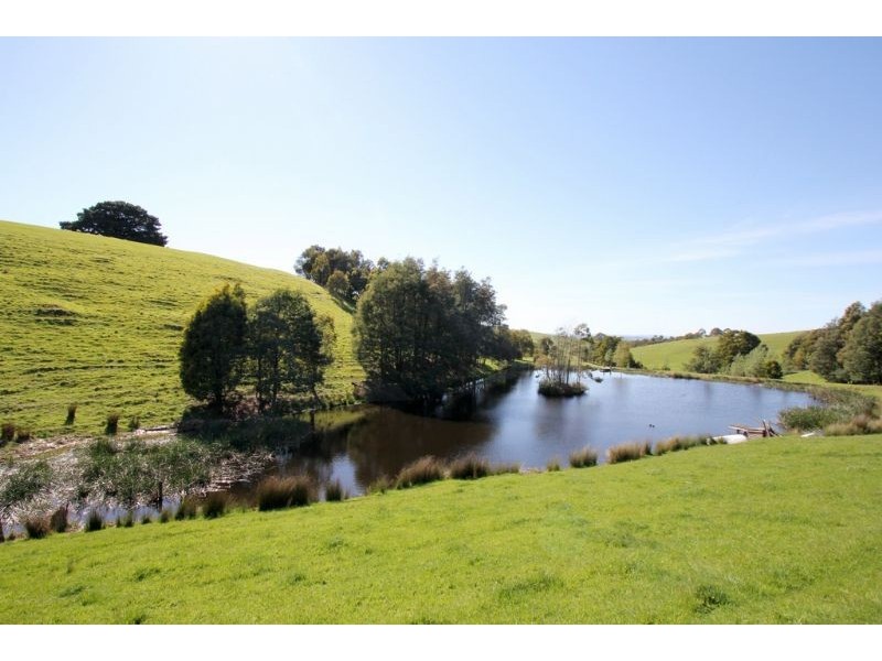 55 Brownhill Road, Mount Eccles VIC 3953