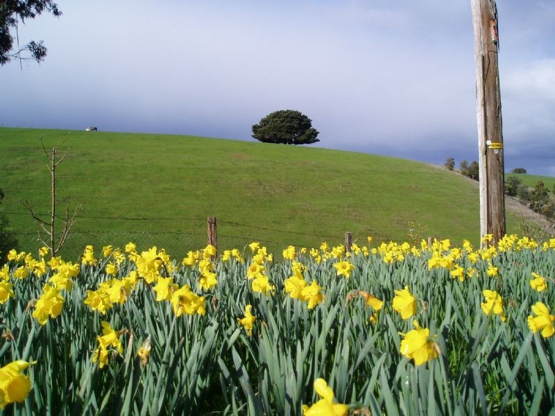 55 Brownhill Road, Mount Eccles VIC 3953