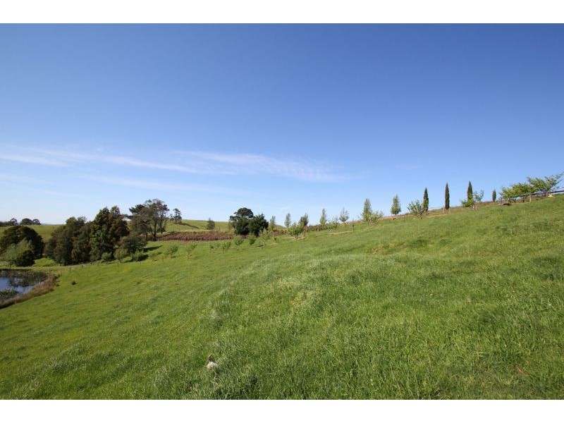 55 Brownhill Road, Mount Eccles VIC 3953