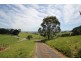 2090 Foster Mirboo Road, Mirboo VIC 3871