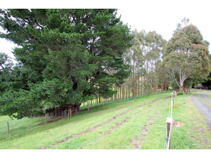 1405 Foster-Mirboo Road, Dollar VIC 3871