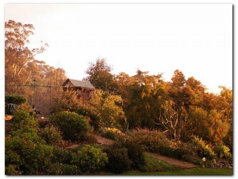 145 Peters Lane, Mirboo North VIC 3871