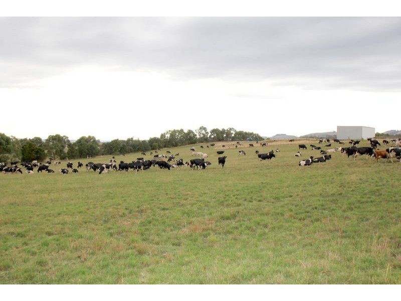 145 Gooleys Lane, Dumbalk VIC 3956