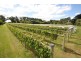 7 Davis Court, Leongatha VIC 3953