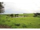 175 Bena-Korumburra Road, Korumburra VIC 3950