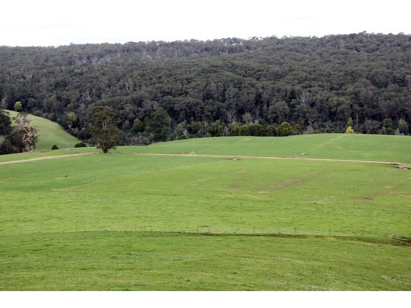 80 Pitt, Hallston VIC 3953