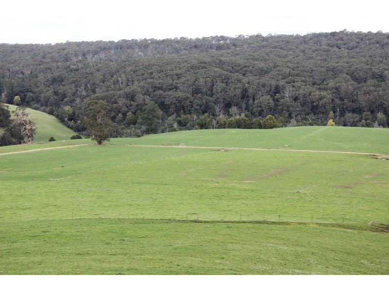 80 Pitt, Hallston VIC 3953