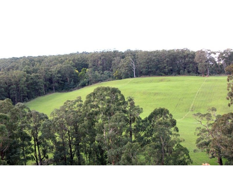 80 Pitt, Hallston VIC 3953