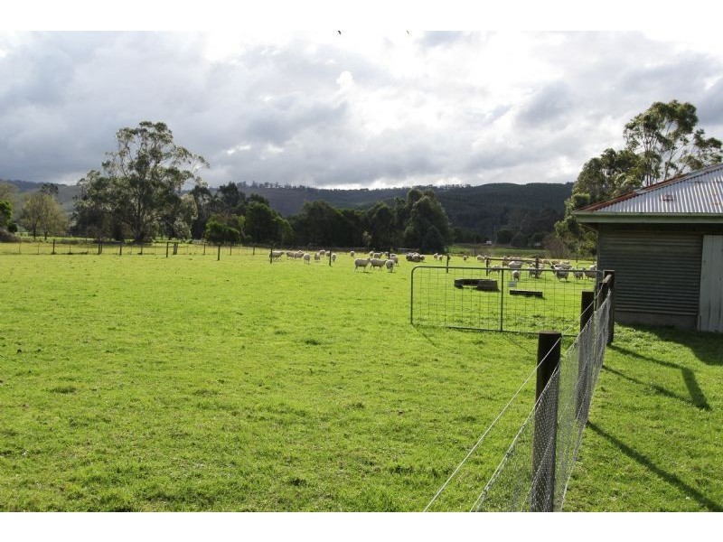 29 Berrys Creek Road, Berrys Creek VIC 3953