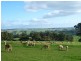 290 Mount Vernon Road, Berrys Creek VIC 3953