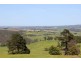 290 Mount Vernon Road, Berrys Creek VIC 3953