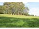 290 Mount Vernon Road, Berrys Creek VIC 3953