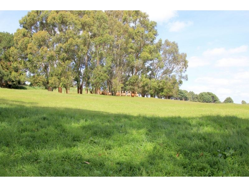290 Mount Vernon Road, Berrys Creek VIC 3953