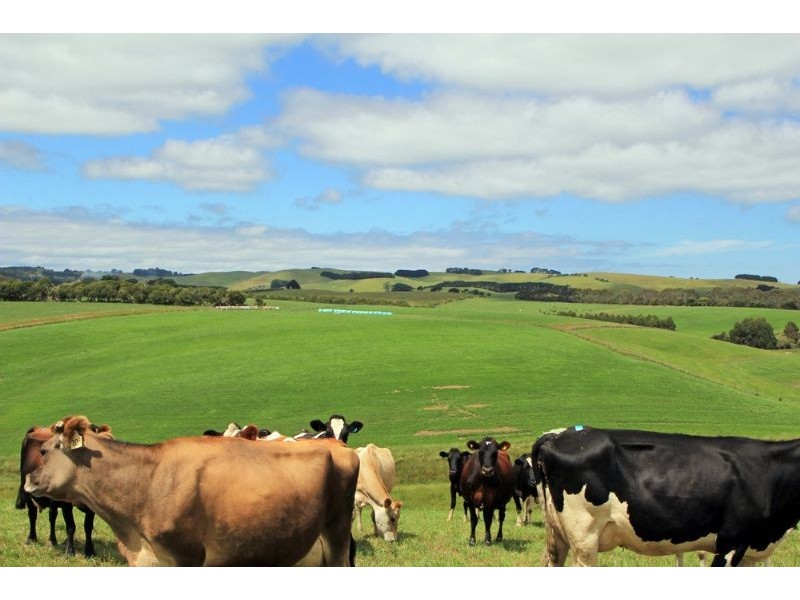 874 Falls Road, Fish Creek VIC 3959