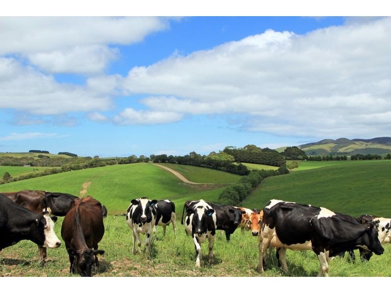 874 Falls Road, Fish Creek VIC 3959